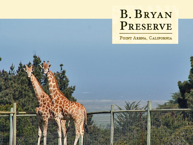 B Bryan Preserve