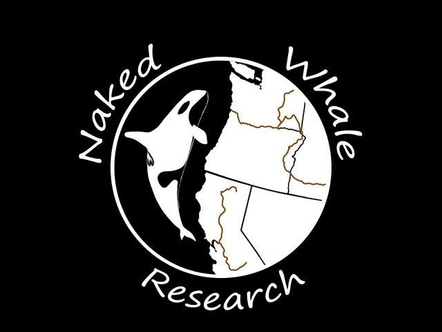 Naked Whale Research