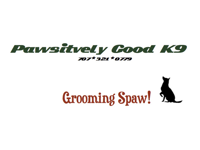 Pawsitively good k9